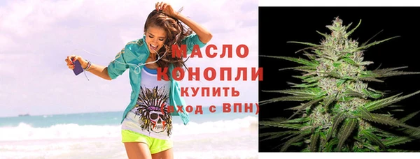 молекула духа Краснослободск