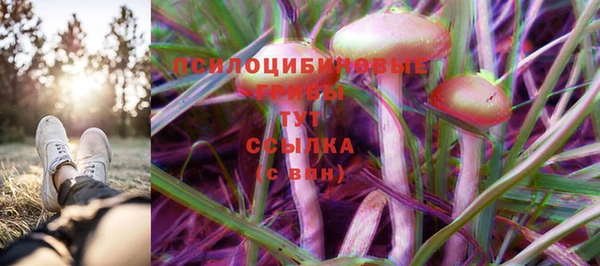 молекула духа Краснослободск