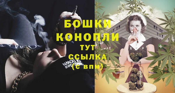 молекула духа Краснослободск
