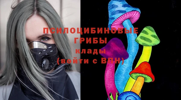 молекула духа Краснослободск