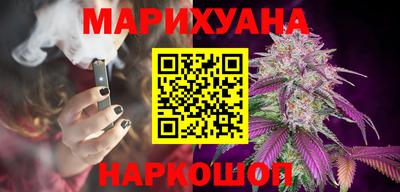 гидра Гатчина