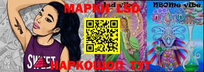 гидра Гатчина