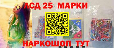 гидра Гатчина