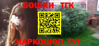 гидра Гатчина