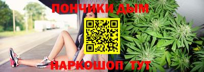 гидра Гатчина