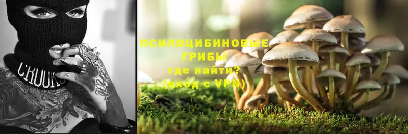 Галлюциногенные грибы Psilocybe  закладка  Жуковский 