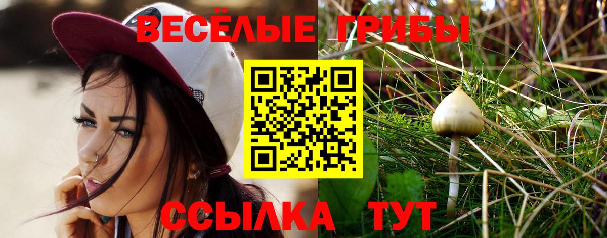 Конопля  Вход с VPN  Жуковский  Мефедрон   Кокаин  ГАШ  Марихуана  NBOMe 