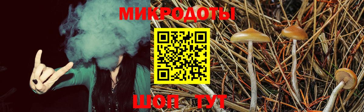 Псилоцибиновые грибы мицелий  Вход с VPN  Жуковский  купить наркотик  Галлюциногенные грибы ЛСД 