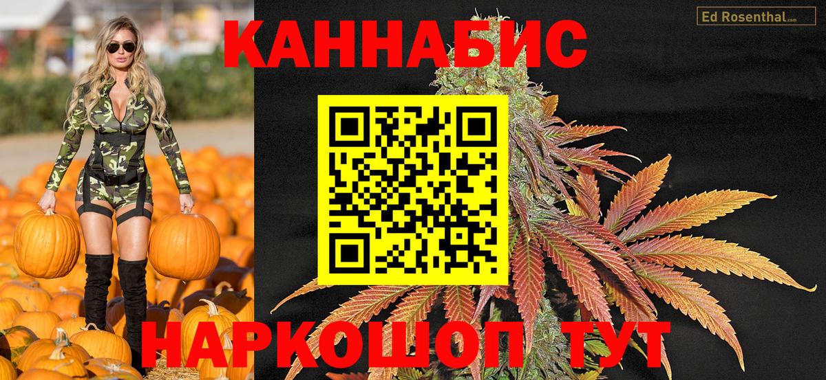 Лсд 25 Жуковский